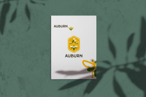 Работа 3793162