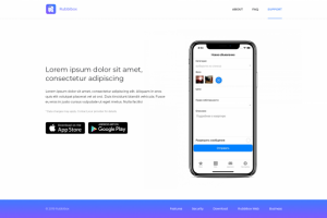 Сайт "ПОД КЛЮЧ" для Rubbibox