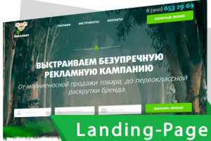 Landing Page "ПОД КЛЮЧ" для веб-студии    10 дней