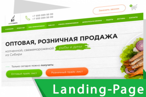 Landing Page "ПОД КЛЮЧ" для продуктов питания из Сибири    10 дн