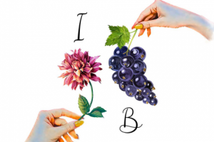 Логотип и оформление профиля