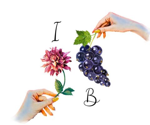 img3983234.png