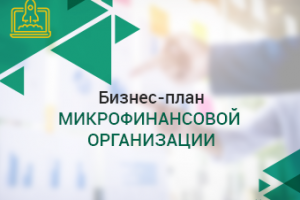 Бизнес-план микрофинансовой организации