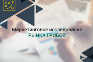 Маркетинговое исследование рынка грибов