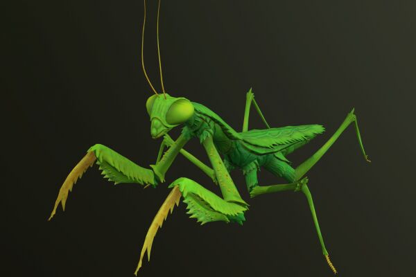 img4093871.png