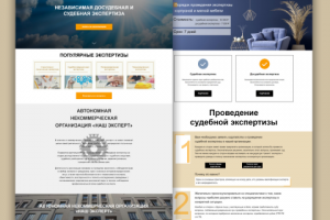 Агентство независимой судебной экспертизы