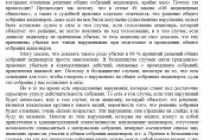 Фрагмент расшифровки вебинара об акционерных обществах