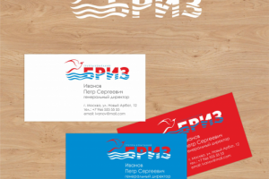 бриз 1 вариант