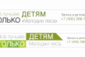 баннеры "Сапсан"