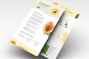 Промо страница Агрокомпании «РГИ»