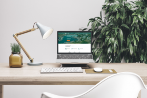 Разработка LP по продаже земельных участков