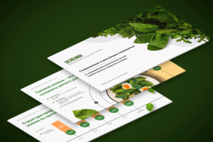 Работа 3863936