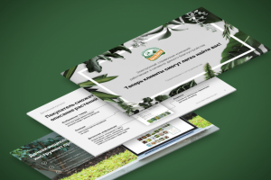 Работа 3863907