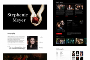 Concept of website for writer