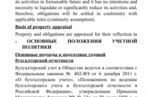 Перевод аудиторского заключения