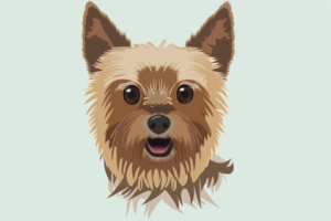 Принт на футболку Лада