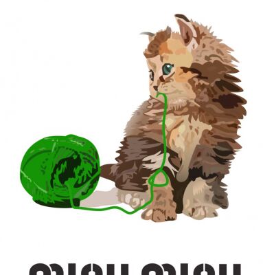 img3159276.png