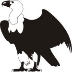 img1300325.png