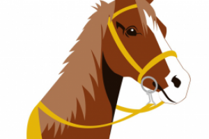 Такси на конях.