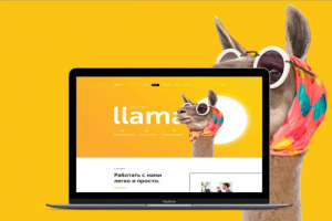 landing page "llama"