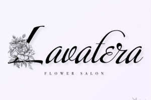 Lavatera. Flower salon. Full version.