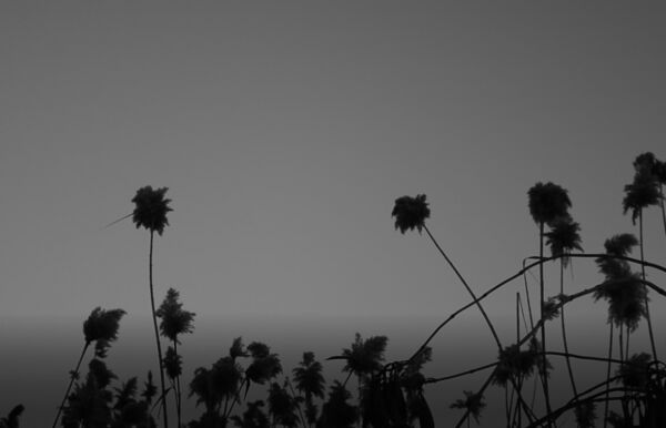 img4091890.png