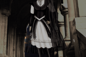 Дама в чёрном