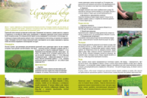 Верстка журнала