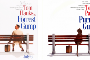 Коллаж с котом к фильму "Форрест Гамп"