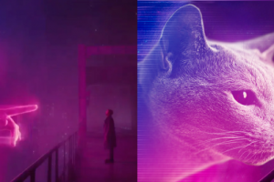 Коллаж с котом к фильму "Бегущий по лезвию 2049"