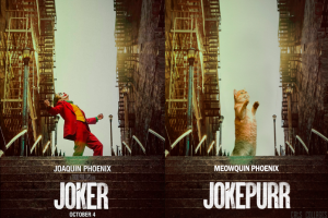 Коллаж с котом к фильму "Джокер"