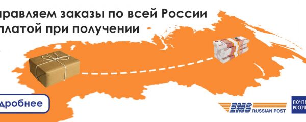img3633781.png
