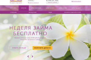 Главная страница сайта компании "ФинТерра".