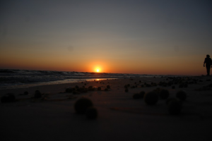 Сказ о Ложке