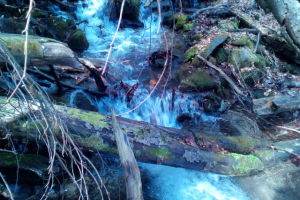 НеПутьЕвыЕ ЗаМетки Путешественника ч.3