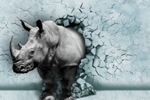 Rhino's ATTACK!