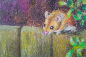 Мышь на заборе