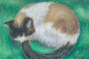 Спящая кошка