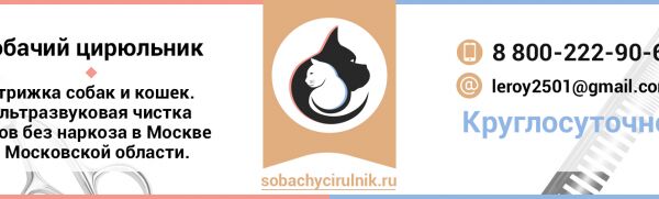 img3529726.png