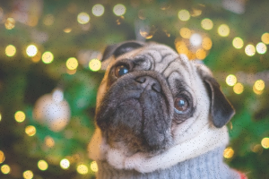 Маленький баннер в слайдер