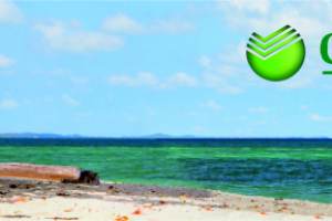 Работа 4088031