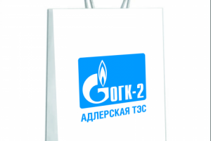 Работа 4088054