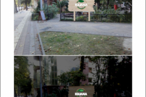 Работа 4088161