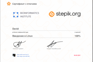 Администрирование Linux