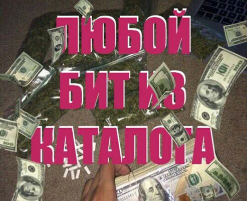 img4071491.png