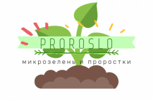 Logo для магазина Proroslo