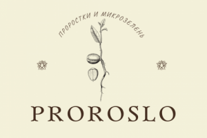 Logo для магазина Proroslo