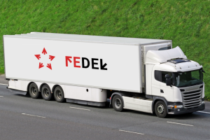 FEDEL