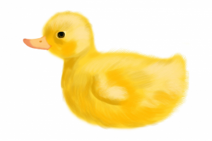 Работа 3159551