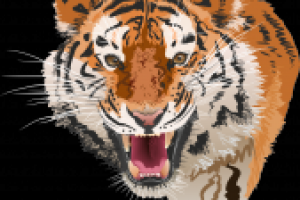 Работа 2703265